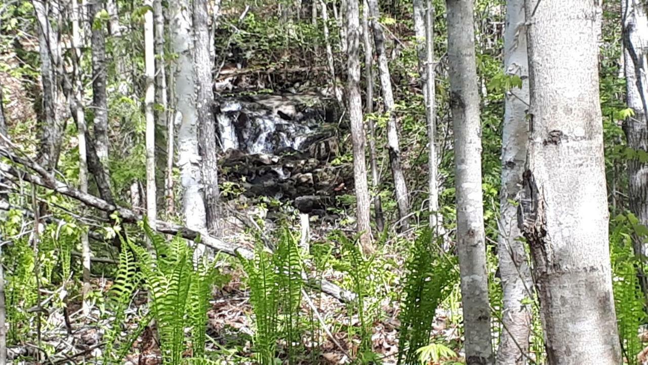 Hébergement de la Montagne St-Roch Saint Roch de Mekinac Esterno foto